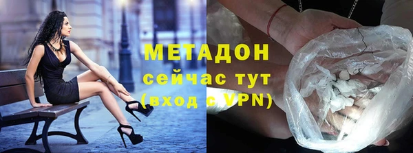 прущие грибы Новозыбков