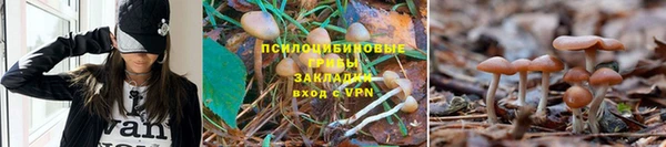ешки Новокубанск