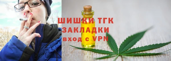 прущие грибы Новозыбков