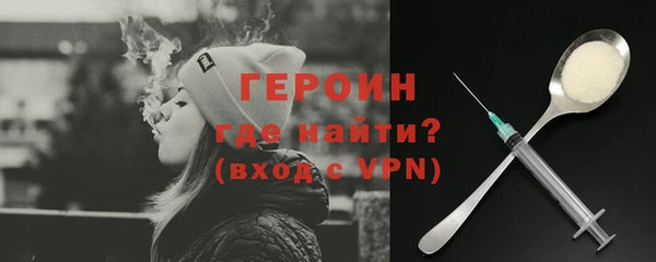 прущие грибы Новозыбков