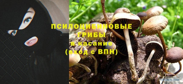 трава Нефтекумск