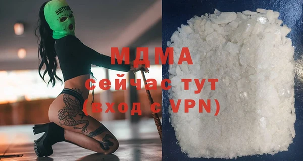 прущие грибы Новозыбков