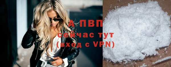 прущие грибы Новозыбков