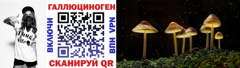 купить наркоту  Туринск  Галлюциногенные грибы MAGIC MUSHROOMS 